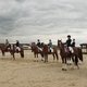 Чемпионат России среди молодых лошадей в КСК "Новый век"