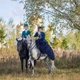 Сезон конных псовых охот открыли в Подмосковье