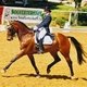 Russain Equestrian Service