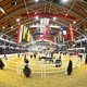 «Витрина лучших» – керунг и аукцион верховых лошадей в Нойштадт-Доссе проводится в середине ноября