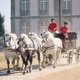 Государственный конный завод ле Ара дю Пэн (Франция)