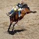 Родео на лошади (бронке) без седла выглядит как катание на отбойном молотке / Фотограф: Zuma\TASS