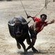 Найиональный фестиваль и скачки на буйволах в Тайланде
