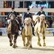Призеры CDI4* на Horses & Dreams meets Jordan – 2018 выезжают на церемонию награждения в соответствующем антураже / Фотограф: из личного архива