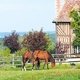 Франция, Нижняя Нормандия, город Орбек территория конного завода Haras de Preaux