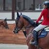 Международные соревнования CSI 1*/2* в Maxima Stables: Итоги третьего дня