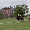 Лошадь сбросила полицейского в Кенсингтонских садах