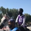 В Абу-Даби прошли соревнования по конным пробегам среди женщин