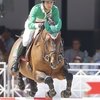 Три новых лошади Марлона Мадоло Занотелли