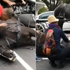 В Мельбурне уволили кучера, накричавшего на лошадь