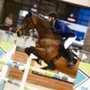 Конкурная неделя в Maxima Stables!