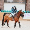 Итоги Зимнего Кубка Молодежи по конкуру в Maxima Stables