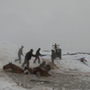 Табун лошадей провалился под лед в Башкирии