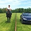 Tesla Model S проиграла лошади