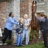 Лошади помогают пожилым людям