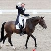 Заслуженный отдых для именитой лошади: Дежа отправляется на пенсию