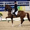 Международная федерация конного спорта (FEI) подтвердила проведение Первенства Европы 2020 по выездке 