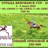 Открыт прием онлайн-заявок на соревнования по конным пробегам Endurance Cup 2020
