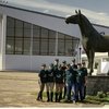 Московский конный завод №1 представил отчет о достижениях за год 