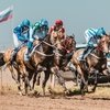 Скаковой день на Краснодарском ипподроме 