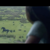 Вороной конь и английские пейзажи в новом рекламном ролике Lloyds Bank