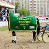 Победы лошадей Московского конного завода №1