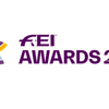 Лауреатов FEI Awards 2020 определит общественное голосование 