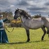 Вятские лошади КСК «Лаир» участвуют во Всероссийской онлайн-выставке!