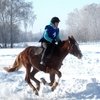 Соревнования по пробегам в КСК «Ивановское» 