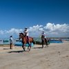 Чемпионат мира по пробегам среди молодых лошадей пройдет в Сардинии