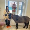 Лошадка в гостях в «Доме с маяком»