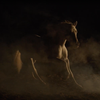 Показ документального фильма «Лошади» 