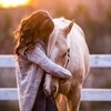 Разговаривать с лошадьми полезно, показало исследование 