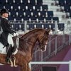 Олимпийская лошадь Изабель Верт Белла Роза перенесла операцию 