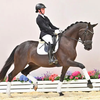 Самая дорогая лошадь продана за 450 тысяч евро на ольденбургском аукционе в Фехте