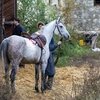 «Мосфильм» провел съемки сериала в Терском конном заводе