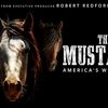 Новый фильм о диких лошадях Америки «Мустанги» 