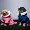 Зимняя одежда для собак от Moose Knuckles 