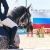 Состав российских сборных по конному спорту на 2022 год 