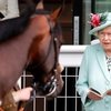 Карл III продает любимых скаковых лошадей королевы Елизаветы II 