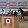 На аукционе в МКЗ № 1 было продано лошадей на сумму более 11 миллионов!