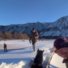 В Бурятии спасли лошадь из снежного плена