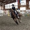 КСК «Мустанг» хочет купить лошадь за 12 млн. рублей