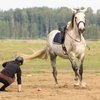 КСК заплатит компенсацию за падение с лошади