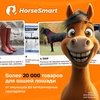 Встречайте HorseSmart!