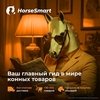 Horsesmart — ваш единственный гид в мире конных товаров