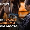 Все для ухода за лошадьми в одном месте