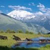 Макеев Артем. Выставка памяти большого мастера