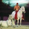 Fest der Pferde: гармония спорта и красоты