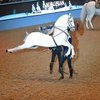 Международное конное шоу "Олимпия"